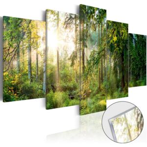 Bimago Imagine pe sticlă acrilică - Green Sanctuary 100x50 cm