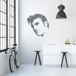 Elvis - autocolant de perete Gri 50 x 50 cm