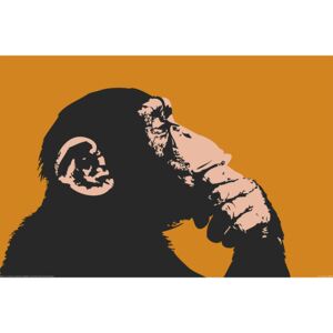 Monkeys - Thinking Poster, (91,5 x 61 cm)