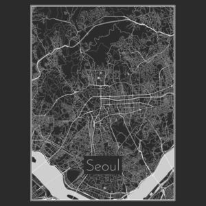 Ilustrare Map of Seoul, Nico Friedrich