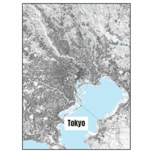 Ilustrare Map of Tokyo, Nico Friedrich