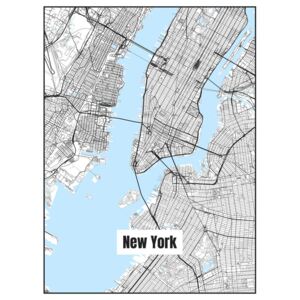 Ilustrare Map of New York, Nico Friedrich