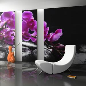 Fototapet - Relaxační moment: orchidej květ a kameny 450x270 cm