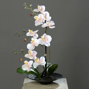 Orhidee artificiala roz-crem in ghiveci negru - 46 cm