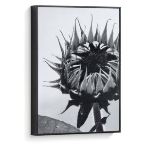 Tablou alb/negru din fibre de lemn 30x40 Sunflower Small La Forma
