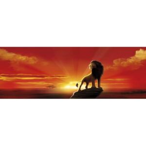 Fototapet Lion King - Apus de soare