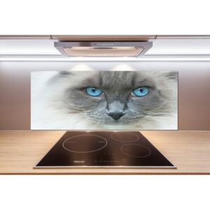 Panou sticlă decorativa bucătărie Cat ochi albaștri