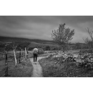 Fotografii artistice Walk with umbrela, Petar Boskovski