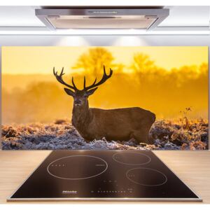 Sticlă bucătărie Sunrise deer