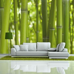 Bimago Fototapet - Green bamboo 200x154 cm