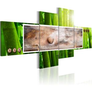 Tablou pe pânză - Abstraction And Bamboo 100x46