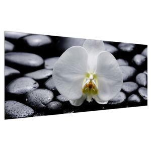 Tablou cu orhidee (Modern tablou, K011708K12050)