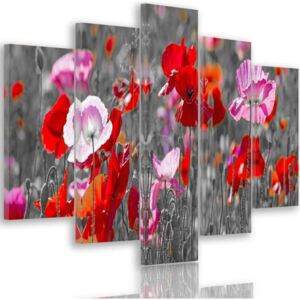 CARO Tablou pe pânză - Red Poppies 100x70 cm