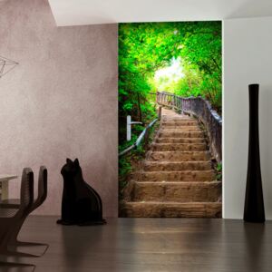 Fototapet pentru u?ă Bimago - Stairs from nature + adeziv gratuit 90x210 cm