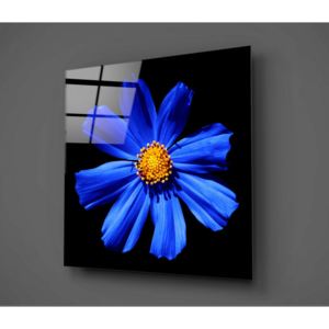 Tablou din sticlă Insigne Flowerina, 30 x 30 cm, negru-albastru