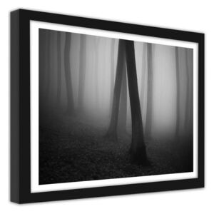 CARO Imagine în cadru - Forest In Fog 2 40x30 cm Negru