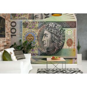 Fototapet - Polish Banknote Vliesová tapeta - 416x254 cm