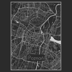 Ilustrare Map of Poznań, Nico Friedrich