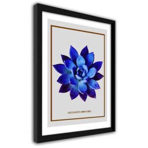 CARO Imagine în cadru - Blue Cactus 3 40x50 cm Negru