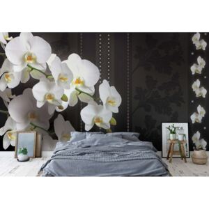 Fototapet - Luxury Floral Design Orchids Vliesová tapeta - 206x275 cm
