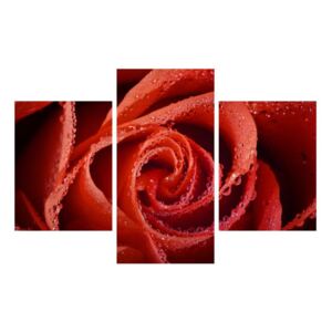 Tablou cu trandafirul roșu (K011747K90603PCS)