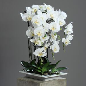 Orhidee artificiala alba in ghiveci ceramic - 62 cm