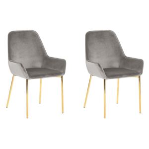 Set de 2 scaune LOVERNA, gri/aurii, 59 x 59 x 89 cm
