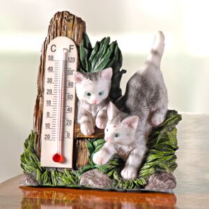 Termometru pisica