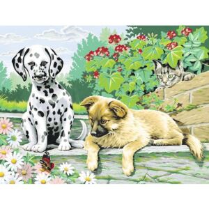 Pictura pe numere Catelusi in gradina 30x40 cm