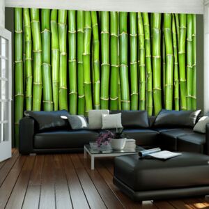 Bimago Fototapet - Bamboo wall 200x154 cm