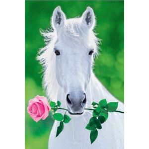 Poster - White Horse