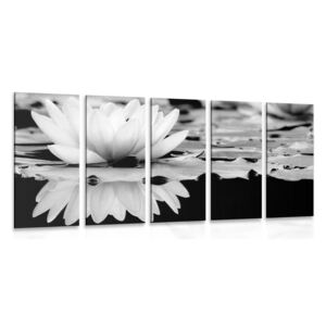Tablou 5-piese floare de lotus în design alb-negru