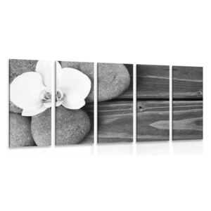 Tablou 5-piese pietre wellness și orhidee pe fundalul din lemn în design alb-negru