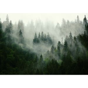 Buvu Fototapet vlies: Ceață peste pădure (1) - 184x254 cm