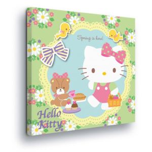 Tablou - Flower Decoration with Hello Kitty 80x80 cm