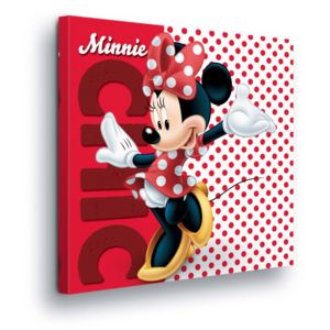 Tablou - Spotted Disney Minnie Mouse II 80x80 cm
