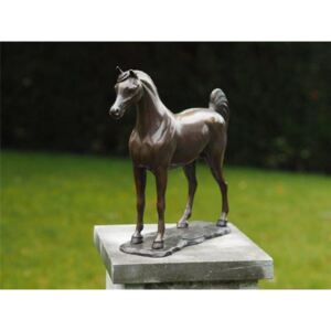 Statuie de bronz moderna Arabian Horse 30x10x33 cm