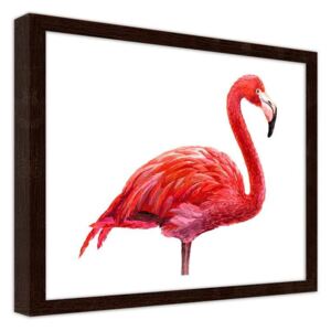 CARO Imagine în cadru - A Realistic Illustration Of A Flamingo 40x30 cm Maro