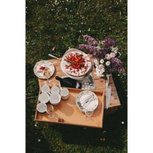 Fotografii artistice Family picnic, Maurits Bausenhart