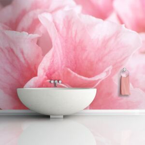 Fototapet Bimago - Pink azalea flowers + Adeziv gratuit 200x154 cm