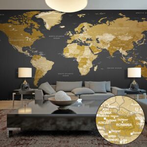 Fototapet XXL Bimago - World Map: Modern Geography II + Adeziv gratuit 500x280 cm