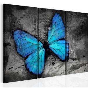 Tablou - The study of butterfly - triptych 60x40 cm