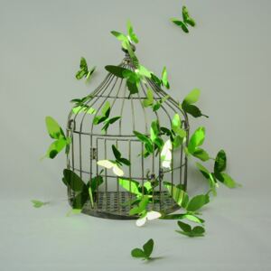 Set de 12 autocolante cu efect 3D Ambiance Butterflies Green