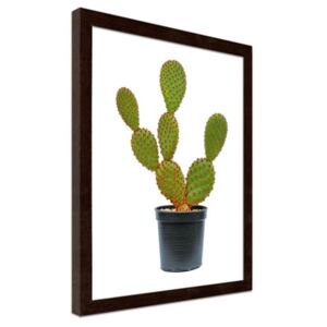 CARO Imagine în cadru - Cactus In A Pot 50x70 cm Maro