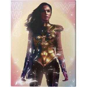 Tablou Canvas Wonder Woman 1984 - Tranquil Contemplation, ( x cm)