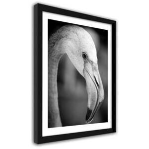 CARO Imagine în cadru - Flamingo In Black And White 40x50 cm Negru