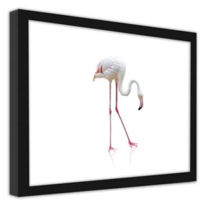 CARO Imagine în cadru - A Lonely Flamingo 40x30 cm Negru