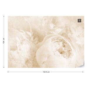 Fototapet - Beautiful Blooms Faded Vintage Sepia Tapet nețesute - 152,5x104 cm