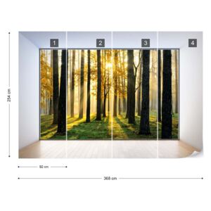 Fototapet - Penthouse View Forest Sunrise Samolepící textilní tapeta - 368x254 cm