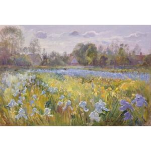 Timothy Easton - Iris Field in the Evening Light, 1993 Reproducere